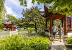 Jardin japonais - Jardin botanique de Montréal – Espace pour la vie